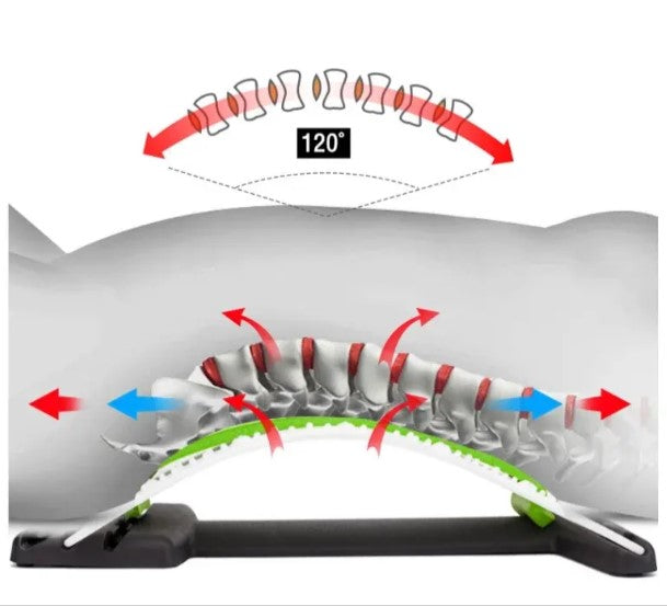 Civière Dorsale Orthopédique
