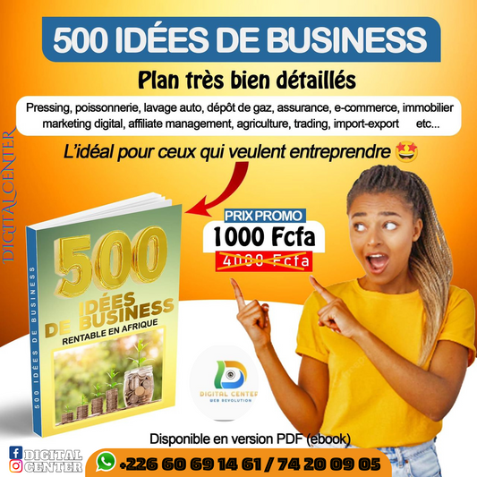 500 idées de Business rentables en Afrique